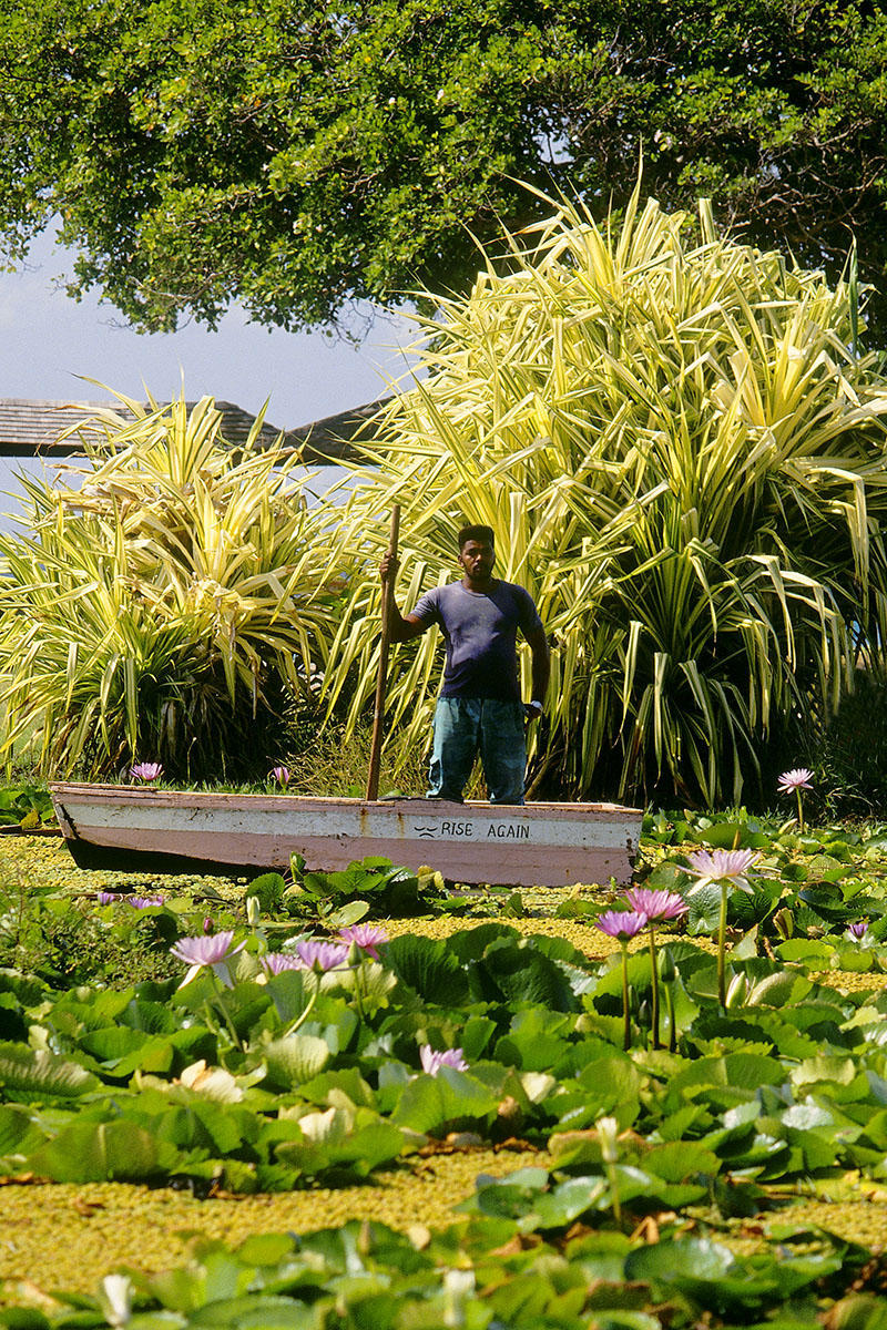 Mustique I book - portrait